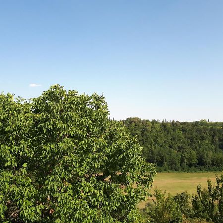 Podere Calcinaia Castelnuovo Berardenga Εξωτερικό φωτογραφία