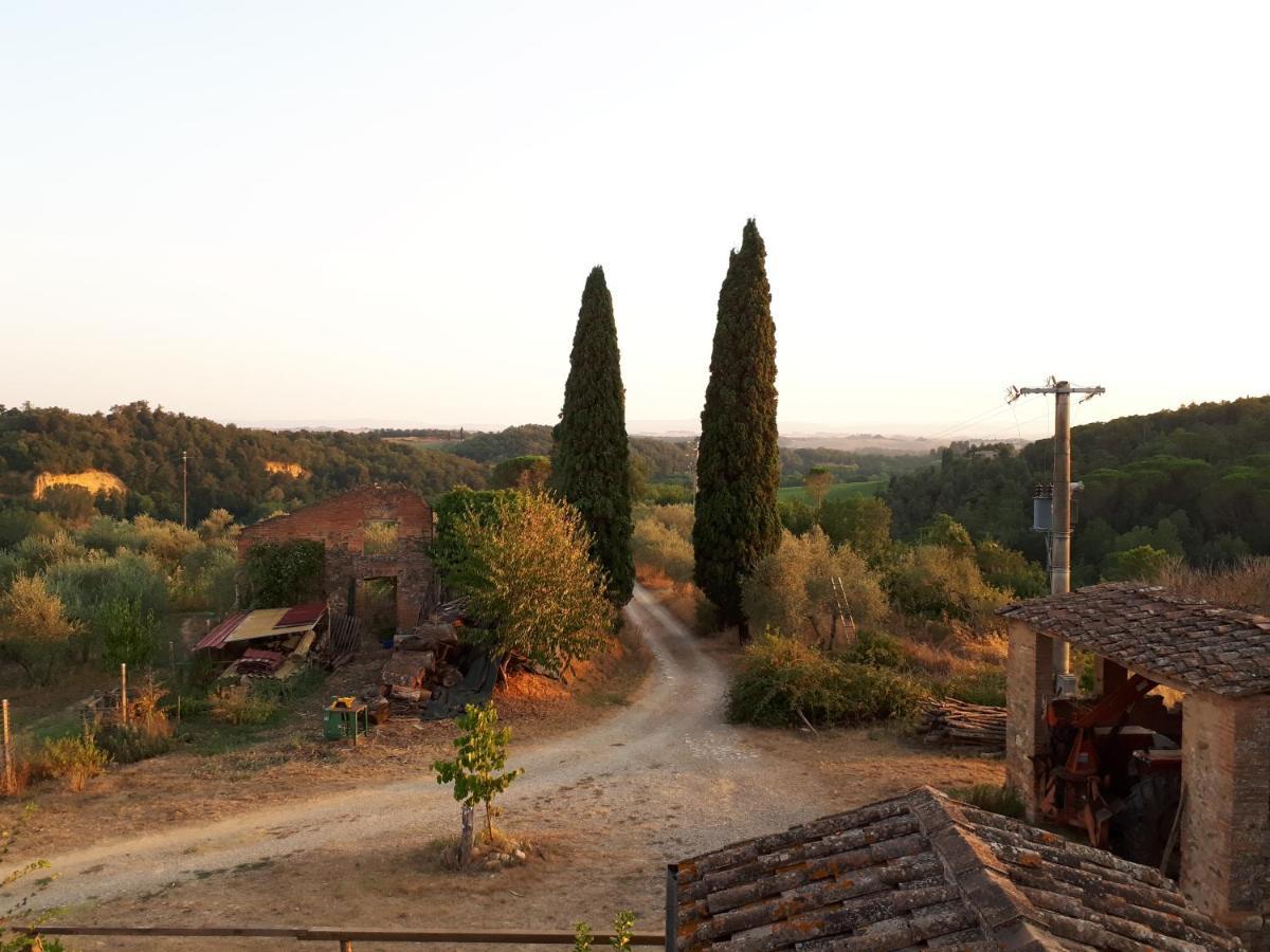 Podere Calcinaia Castelnuovo Berardenga Εξωτερικό φωτογραφία