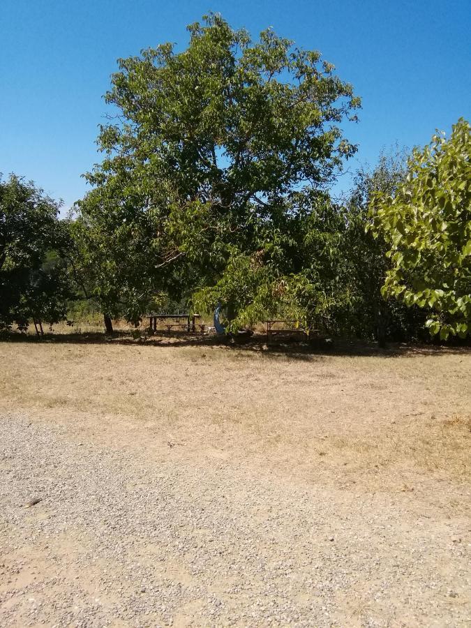Podere Calcinaia Castelnuovo Berardenga Εξωτερικό φωτογραφία
