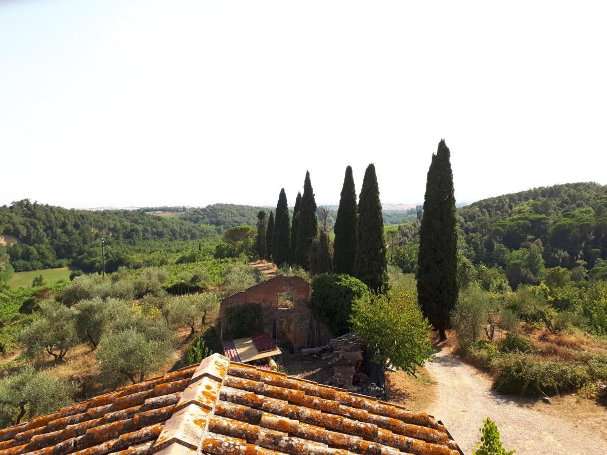 Podere Calcinaia Castelnuovo Berardenga Εξωτερικό φωτογραφία