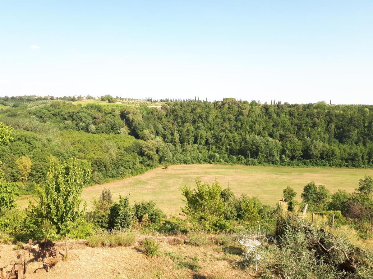 Podere Calcinaia Castelnuovo Berardenga Εξωτερικό φωτογραφία