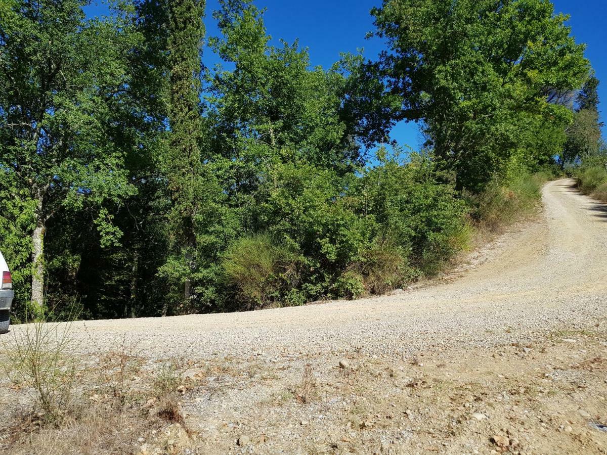 Podere Calcinaia Castelnuovo Berardenga Εξωτερικό φωτογραφία