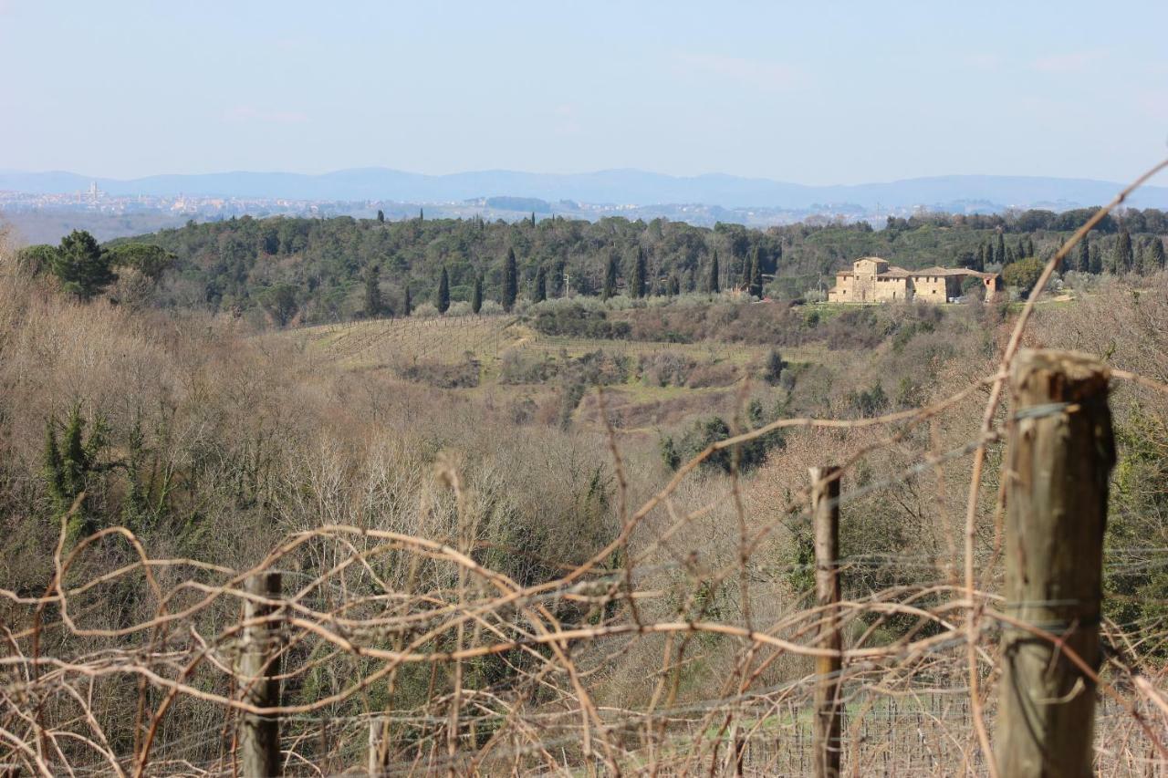 Podere Calcinaia Castelnuovo Berardenga Εξωτερικό φωτογραφία